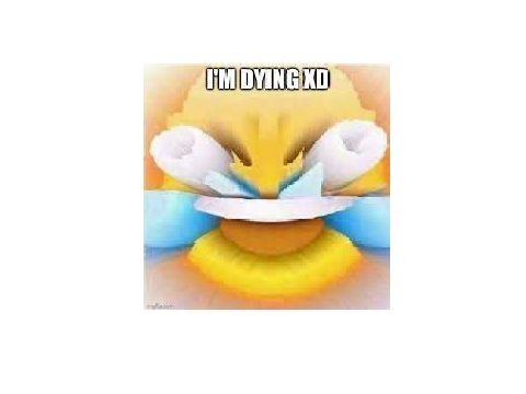 I got muted for singing your rizz XDDD