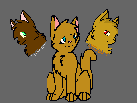snowpelt Must Not Chase the Boys  remix