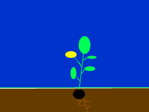 Spring project/science