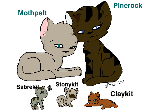 My Warrior cat family.
