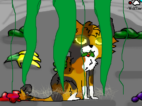 CAT CC - Spottedleaf!