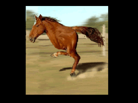 Crazy running horse