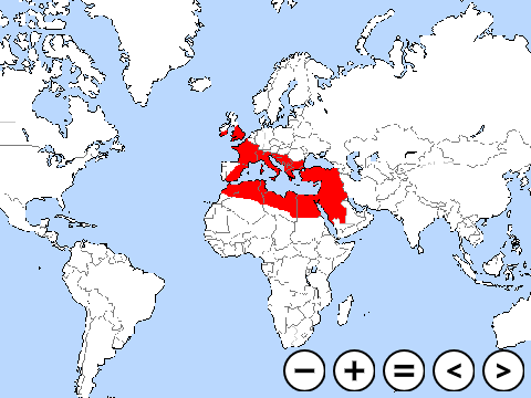 Roman empire I think