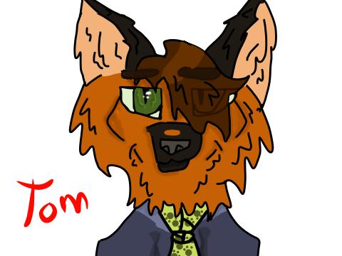 Meet Tom!