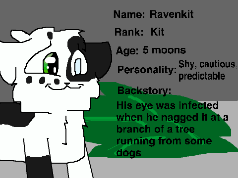 Warriors RPG- Ravenkit of SkyClan!
