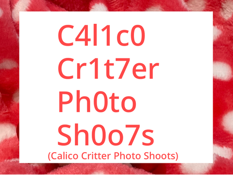 Calico Critter Photo Shoots!