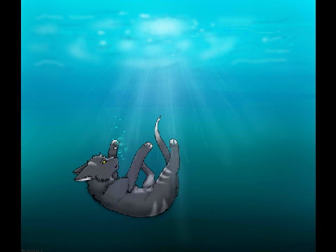 And That's How I Became The Sea