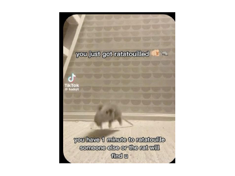 i needed to im sorry 