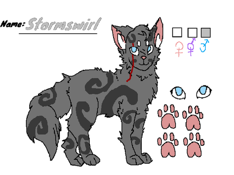 Stormswirl of NightClan.