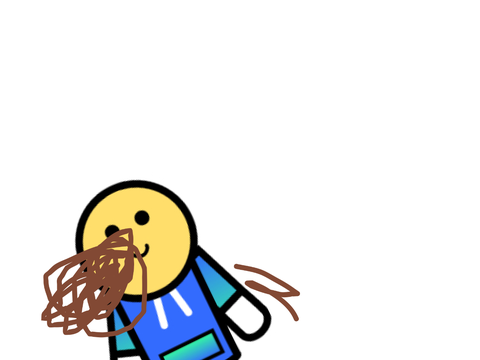What did I make 