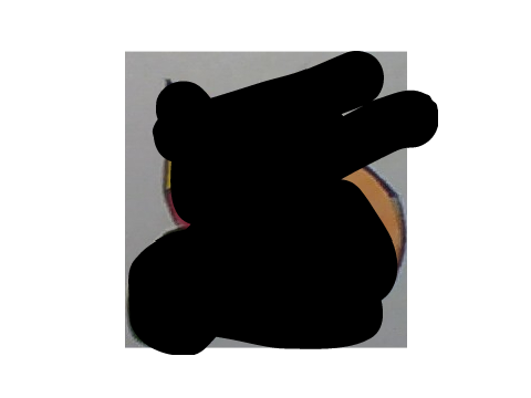 big reveal