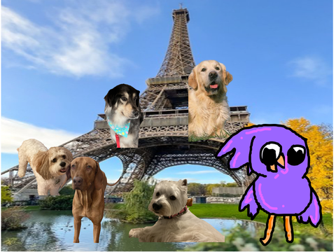 Dogs be like season 3 ep 2