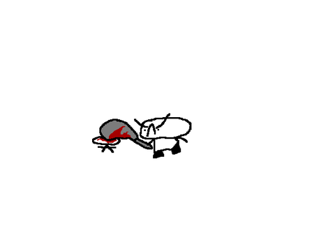 bonk