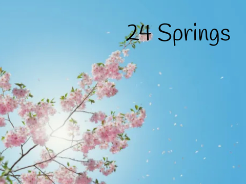24 Springs - WCE