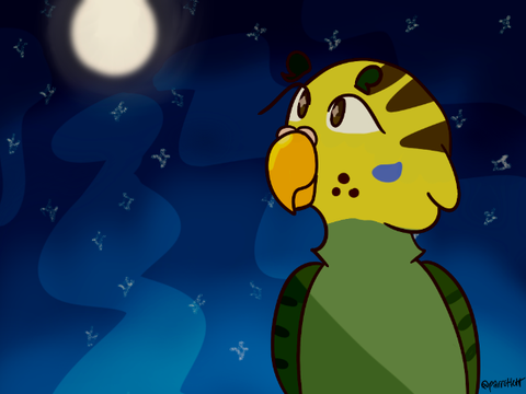 ✨ Sky Full of Stars ✨