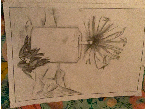 irl draws