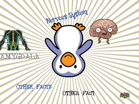Nervous System
