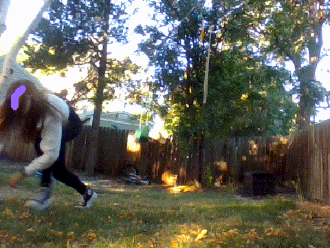 here is my example of good form while running/trotting