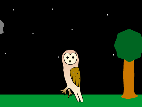 Oh Look, Another Barn Owl