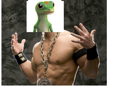 GEICO Cena. Meh. :| Cuz Baers