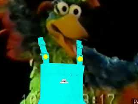 Fletcher Bird