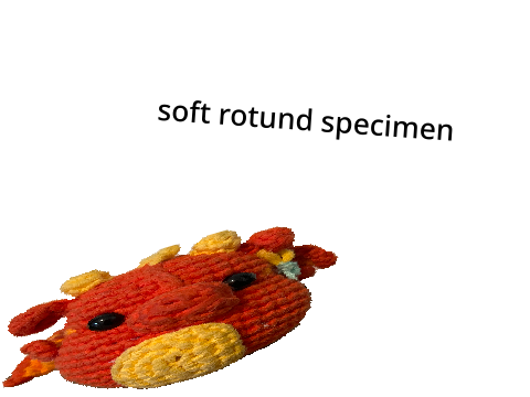 soft rotund specimen