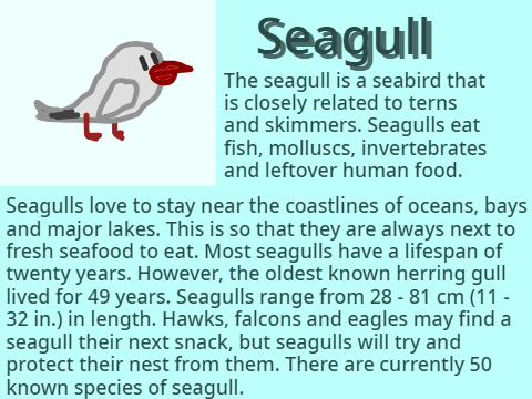 The Seagull (The All Birds Studio project example)