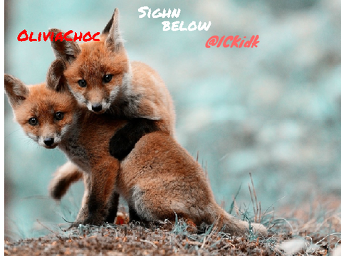 sign this if you are against fox hunting! remix