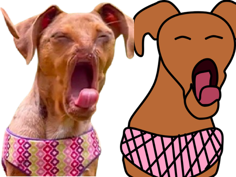 dog + dog vector