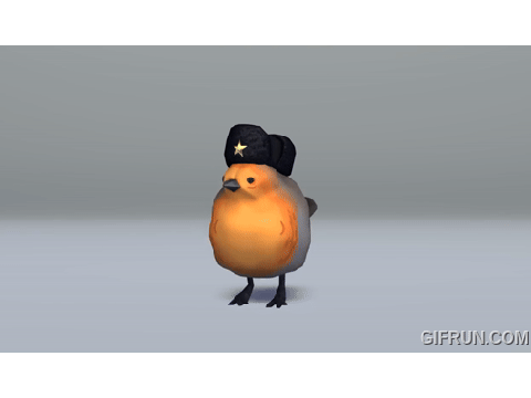 Pootis Bird