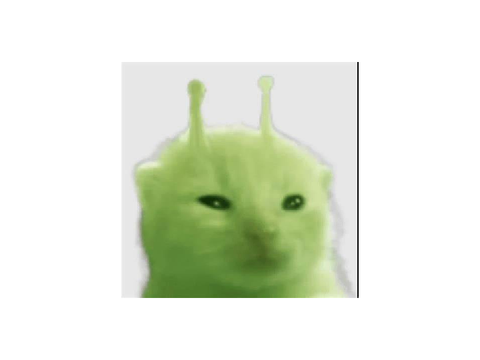 boo
