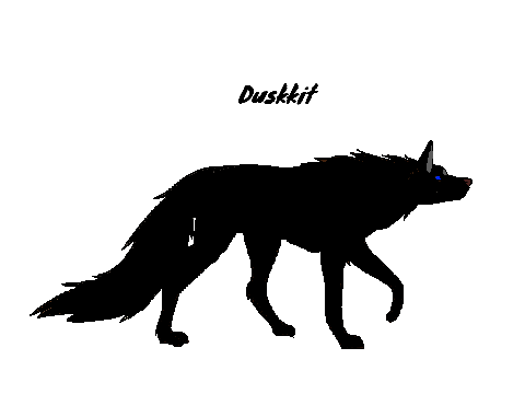 Stormclan cats as wolves Pt.1