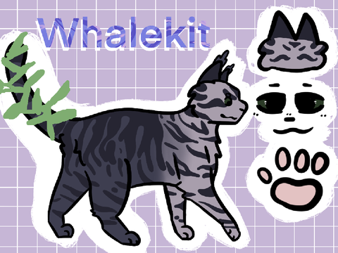 Whalekit’s Tidepool