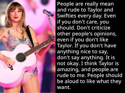 Stop Being Mean to Taylor Swift remix