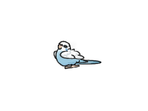 Blue budgie [MP]