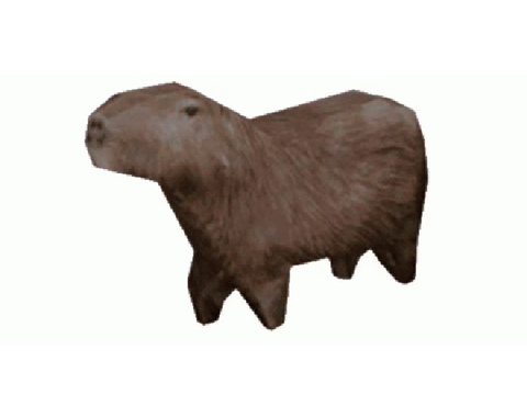 capybara