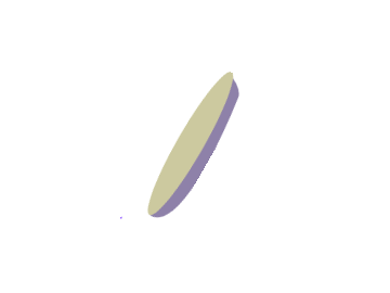 spiny thing