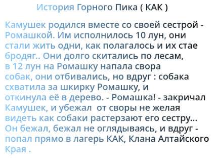 Горный Пик - Окрас и История. КАК