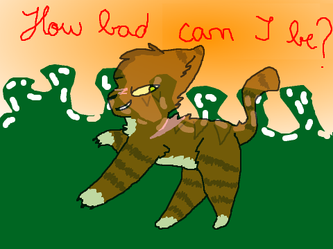 How bad can I be? O.C MAP -OPEN-