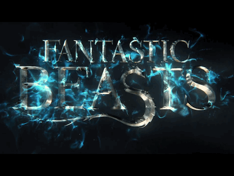 Fantastic Beasts (first project of fantastic beasts)