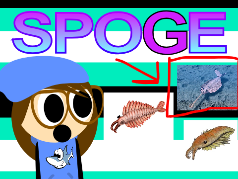 SpoGe:The jiafei approved Anomalocaris Opabinia Hallucigenia Wiwaxia Trilobite