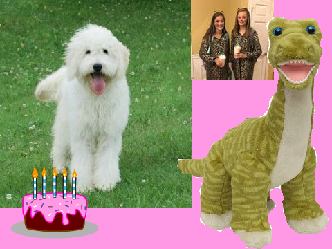 Happy Birthday Isabella