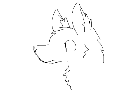 new scratch animation test