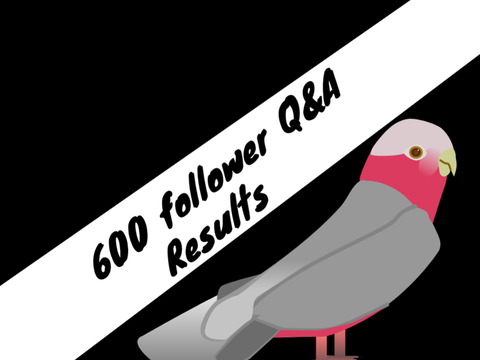 (RESULTS) 600 follower Q&A