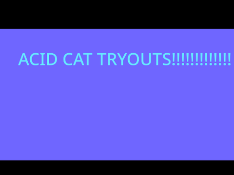 Acid Cat tryouts!