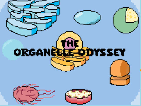 The Organelle Odyssey