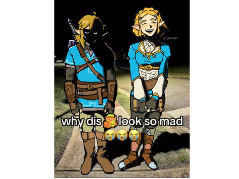 zelda questions meow