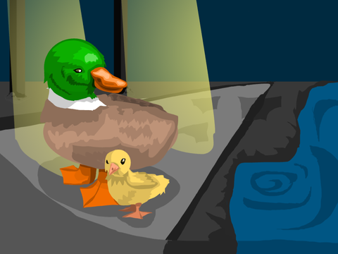 Duck 