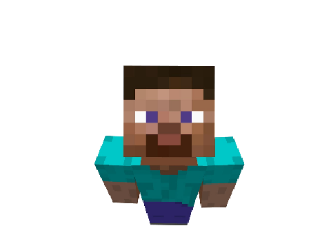 Steve from Minecraft has gone hyper!!!