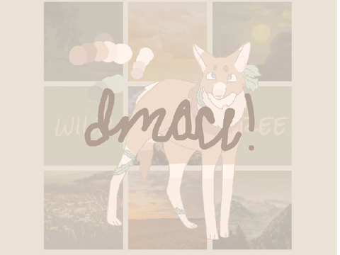 DAY 1 | DMACE! :) 1/?